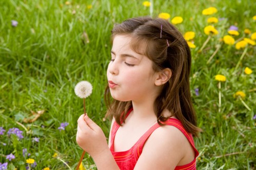 Little Girl Blowing Dandelion Seeds